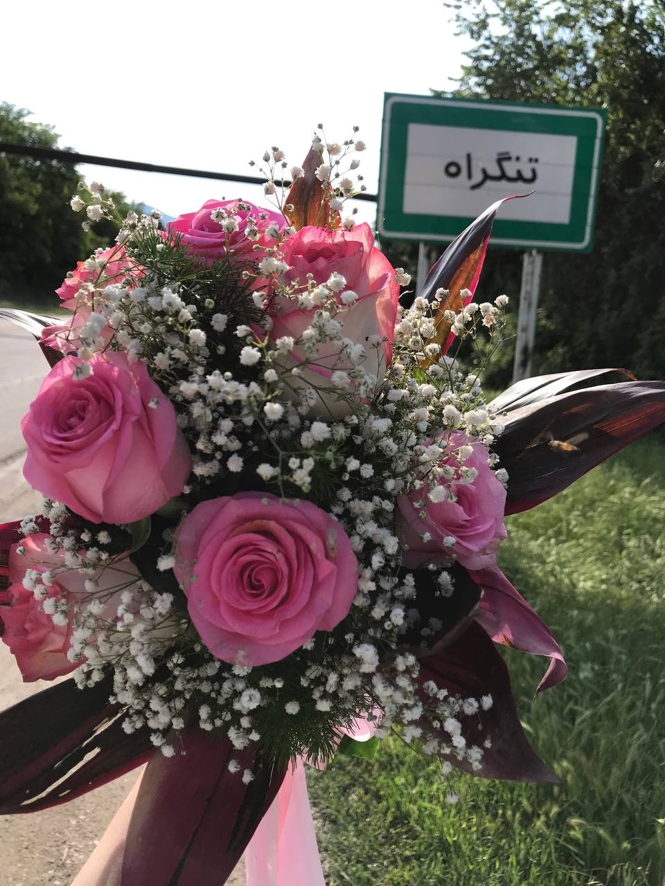 بهترین ها لایق شماست